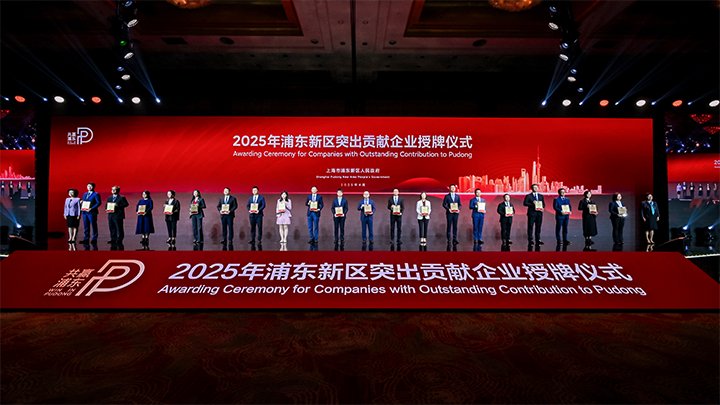 人力资源供应商PA真人国际国际凭借人才服务与在区域经济开展中的卓越表现荣膺2024年度浦东新区民营企业奖项