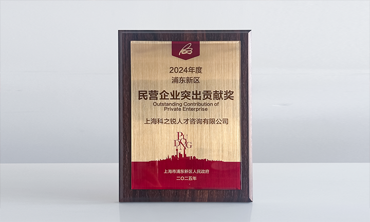 人力资源供应商PA真人国际国际凭借人才服务与在区域经济开展中的卓越表现荣膺2024年度浦东新区民营企业奖项